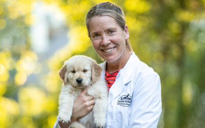 040: Main Street Veterinary Hospital Cornelius – Meet Dr. Lori Hoe