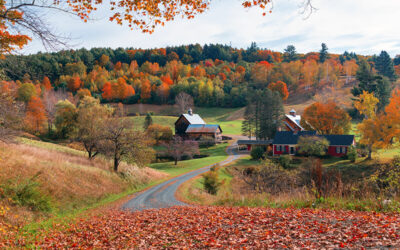 Our Favorite Lake Norman Farms for Fall Fun