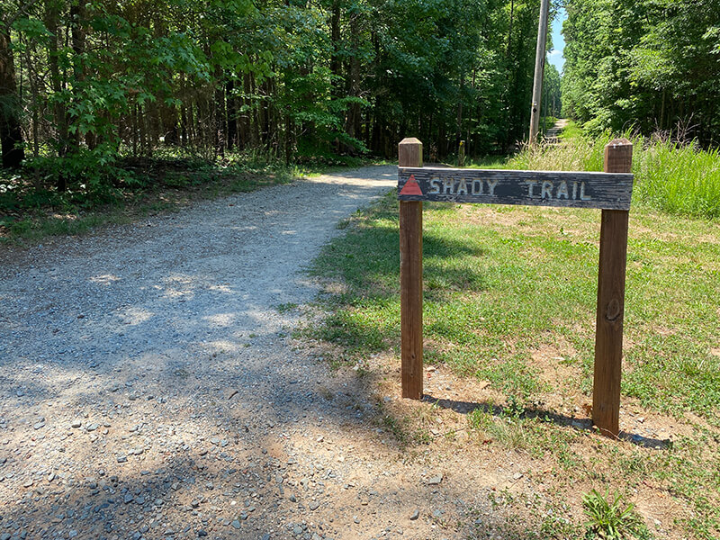 Best Hikes and Trails in Lake Norman State Park