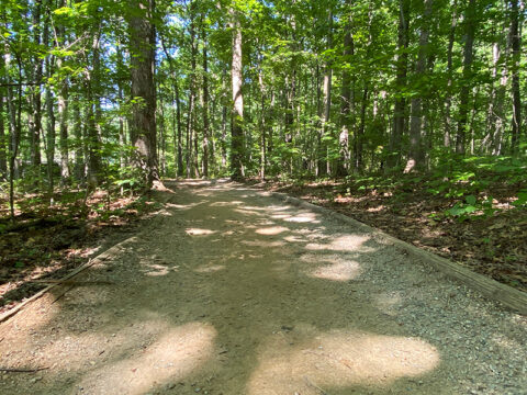 lake norman mtb trails