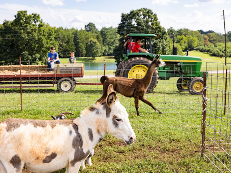 Carrigan Farms Hayride