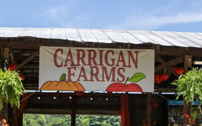 Pumpkin Picking at Carrigan Farms 2024