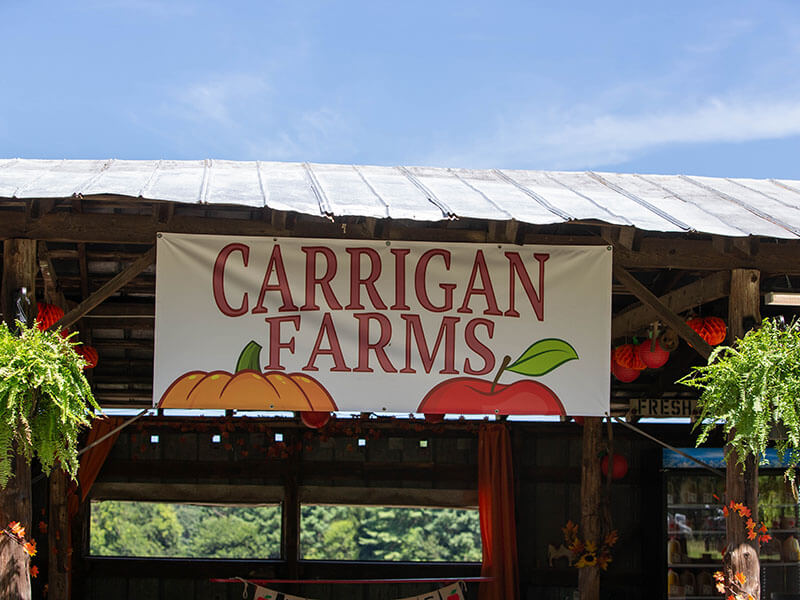 Carrigan Farms