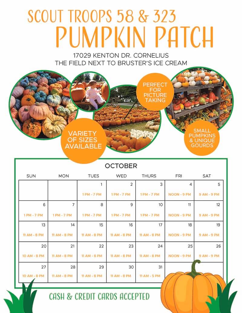 Pumpkin Patch Flyer