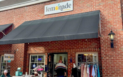 Lemonade Boutique | A Unique Shopping Experience