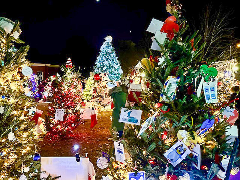 Christmas in Davidson Giving Trees