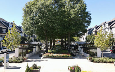 Grooving in The Grove | Birkdale Village’s End-of-Summer Bash