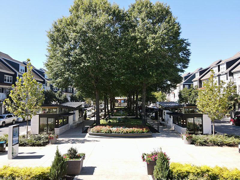 Birkdale Village