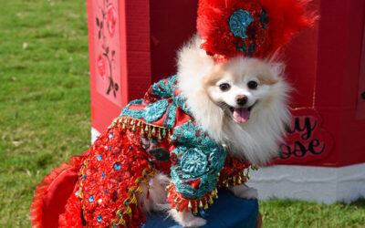 Cornelius Hosts 25th Annual All-American Dog Show
