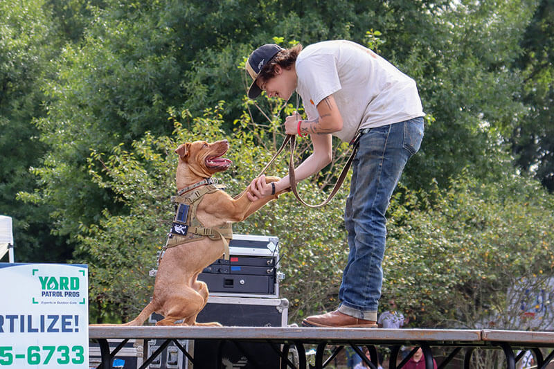 all-american-dog-show-cornelius-nc-shake All American Dog Show